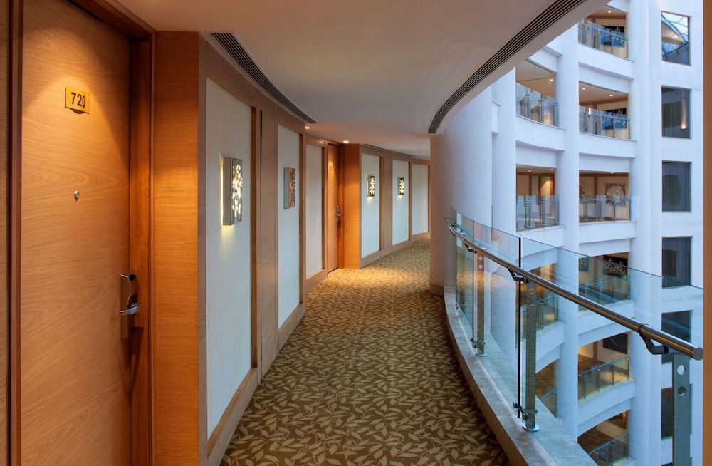 Radisson Blu Hotel, New Delhi Dwarka 22/50