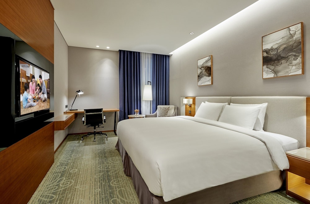Hotel Skypark Central Seoul Pangyo 16/65