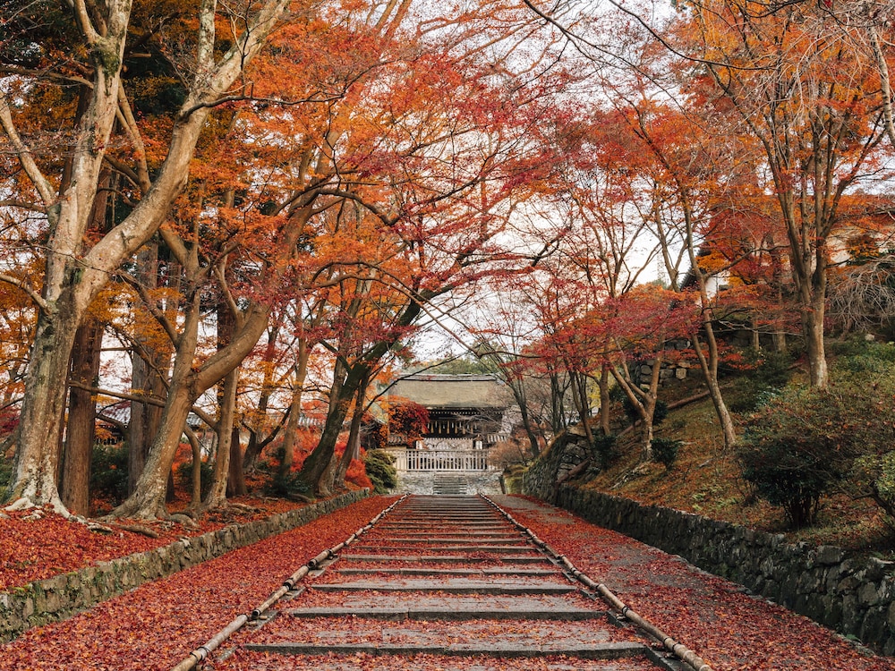 Kyoto Yamashina Hotel Sanraku 44/50