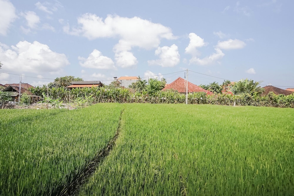 Agung Homestay 42/49