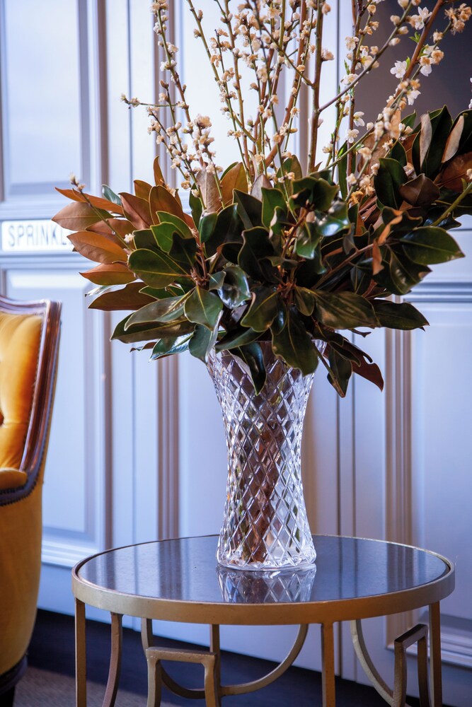 Bayswater Boutique Lodge 43/58