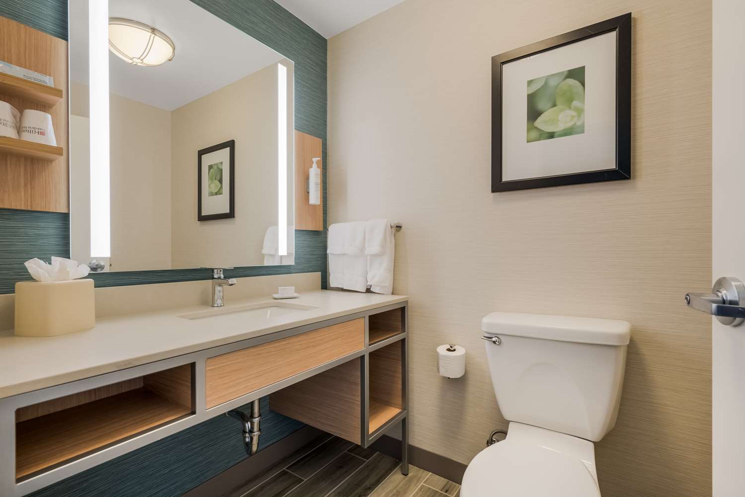 Deluxe, King Bed, Sofa, Hilton Garden Inn Rockford 3/3