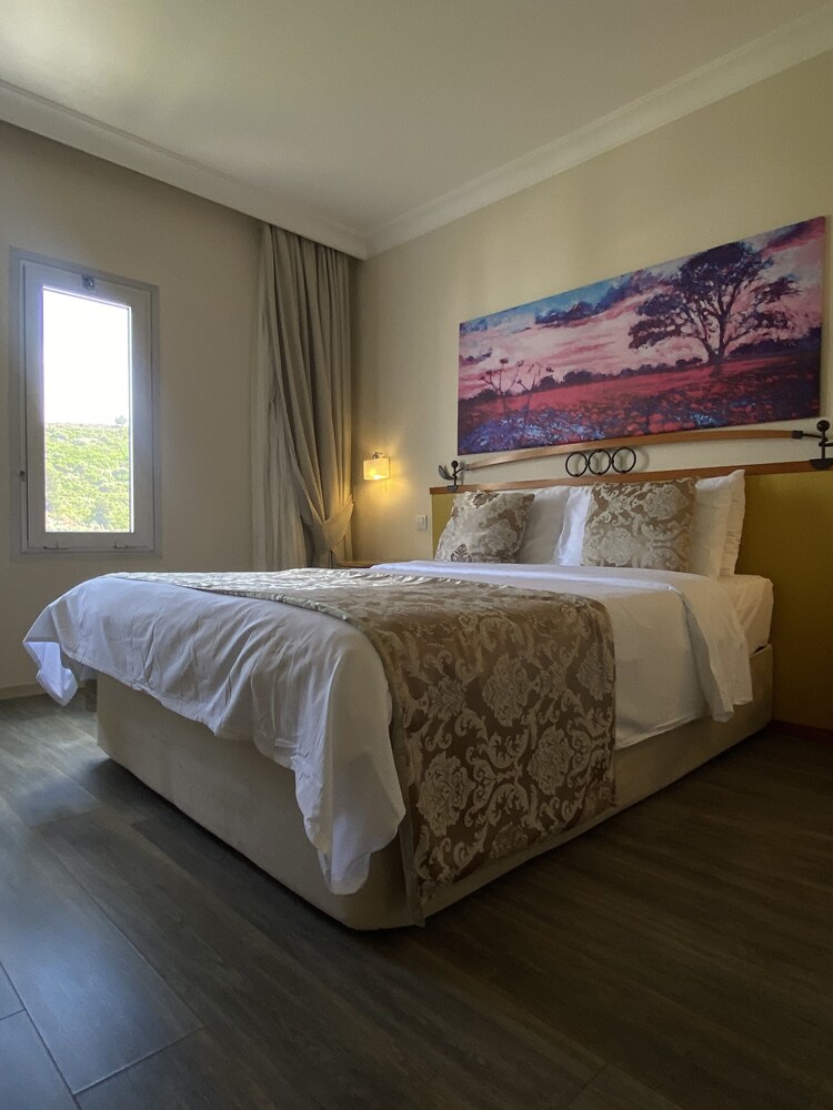 Roseira Beach Resort 13/43