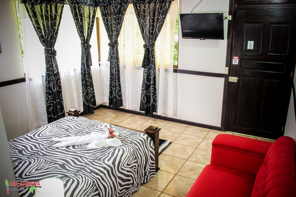 Ara Ambigua Lodge 14/50