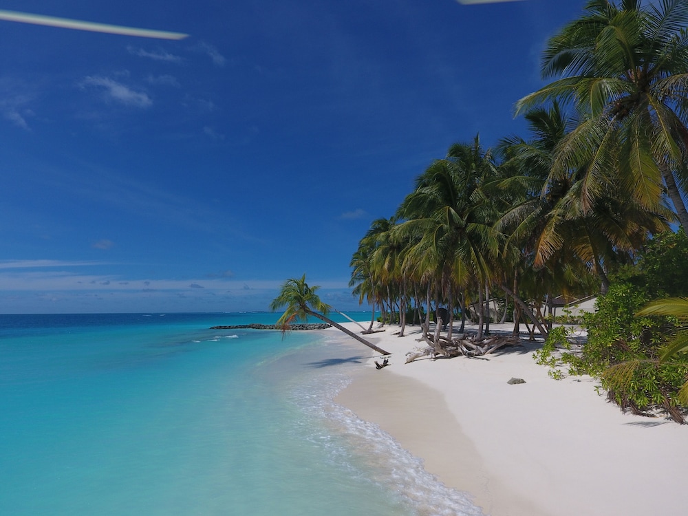 Fiyavalhu Resort Maldives - All Inclusive 63/69