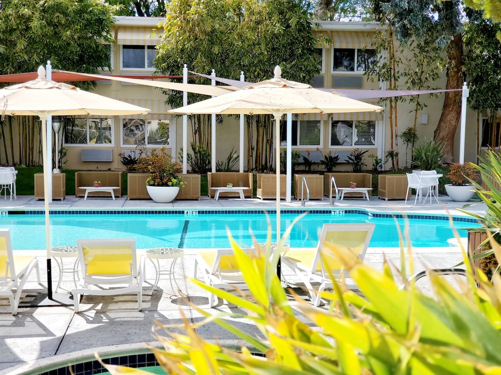 Wild Palms, a Jdv by Hyatt Hotel 11/64