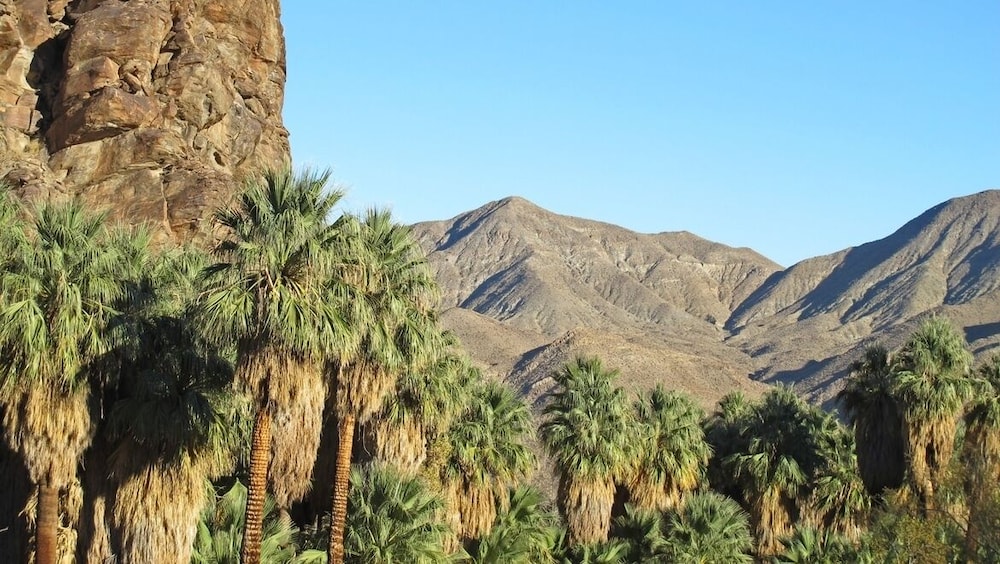 Desert Lodge 44/50