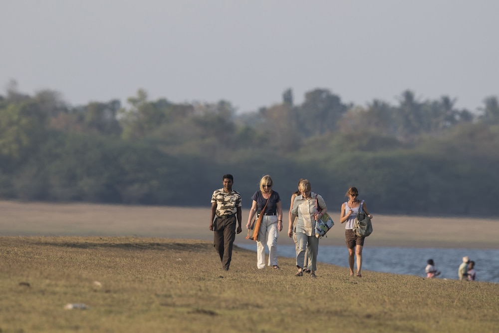 Red Earth Kabini 43/49