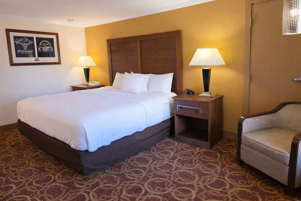 Sturgis Lodge & Suites, Travelodge by Wyndham 19/36