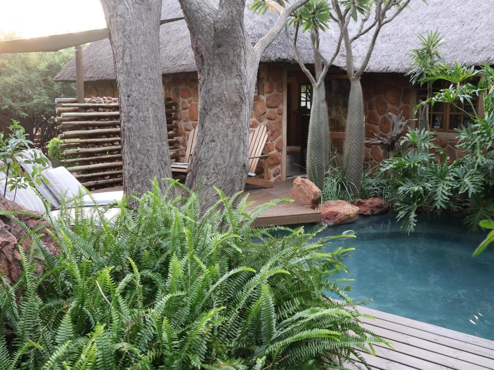 Monkey Thorn Cottage 35/50