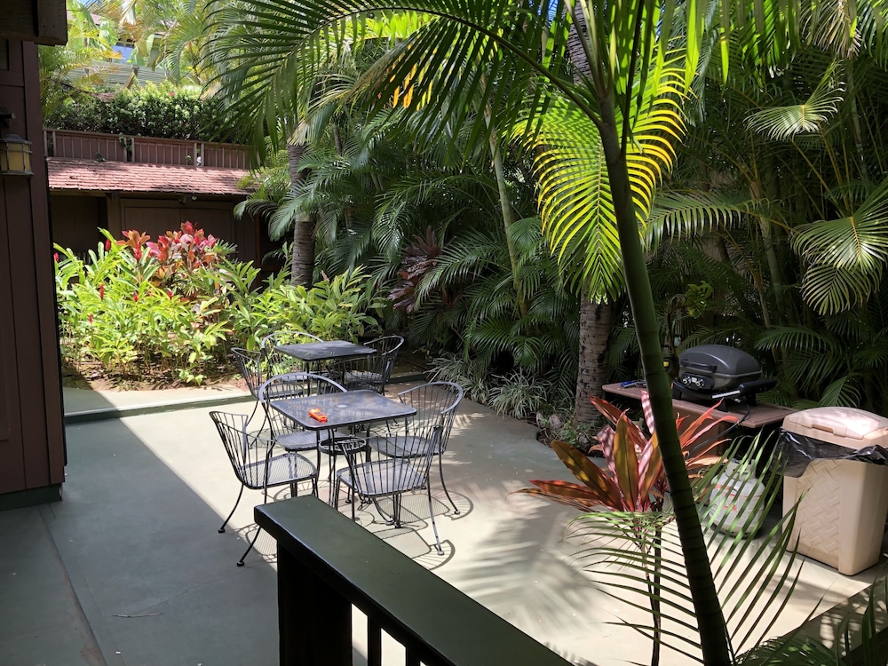 maui what a wonderful world b and b hawaii