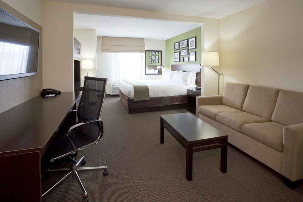 Holiday Inn Express Hotel Suites Rogers 37/51