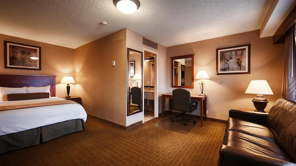 Best Western Vista Inn At The Airport 20/47