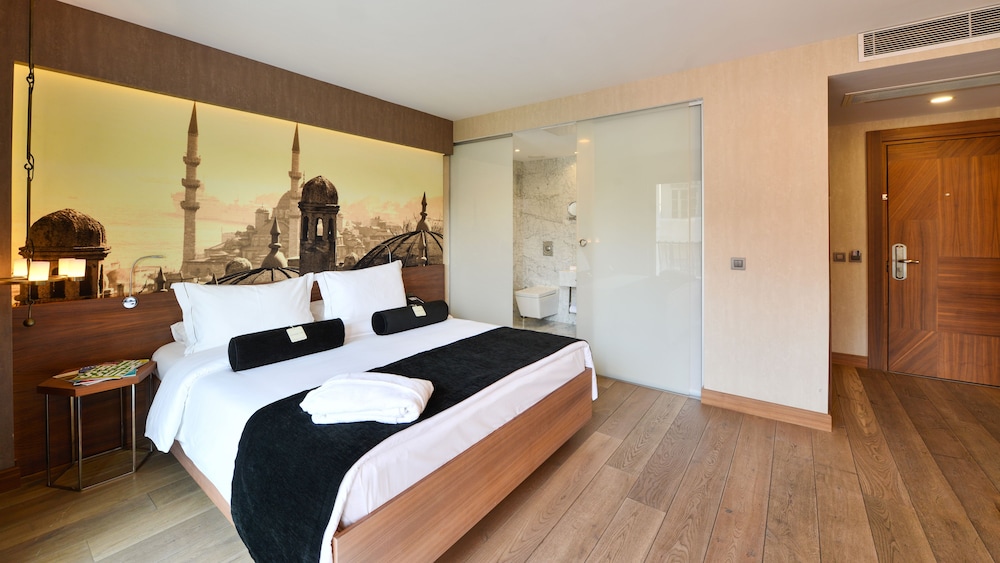 Hotel St. Sophia Istanbul 30/76