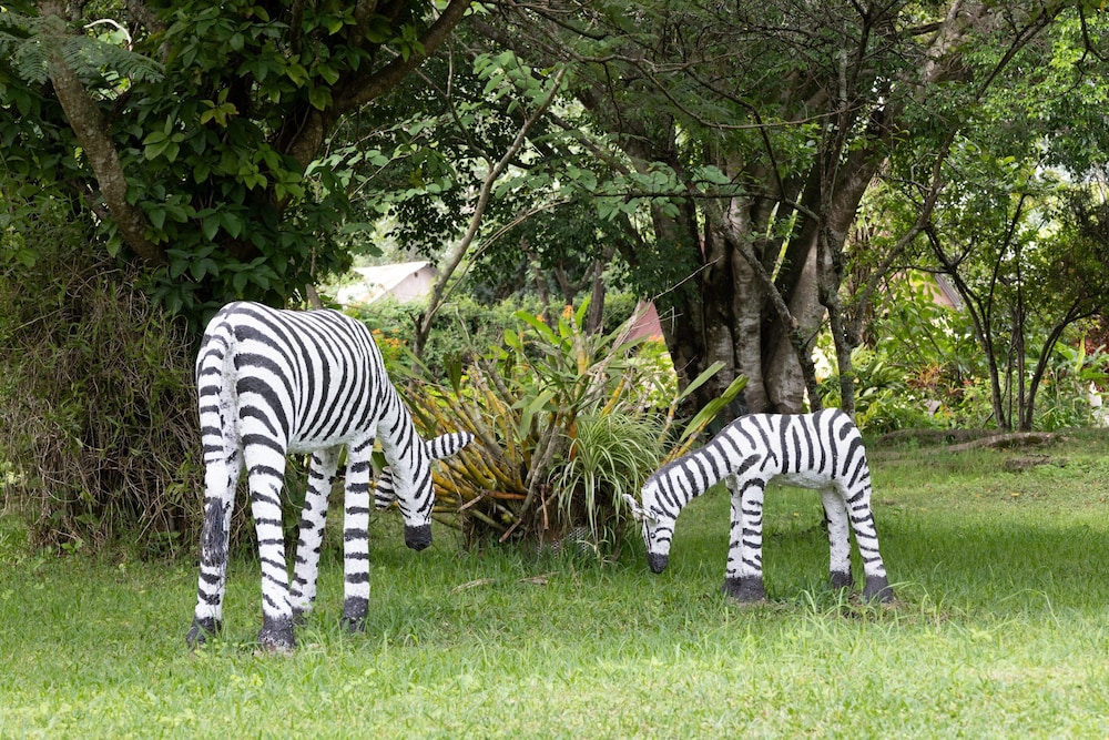 Meru View Lodge 20/28