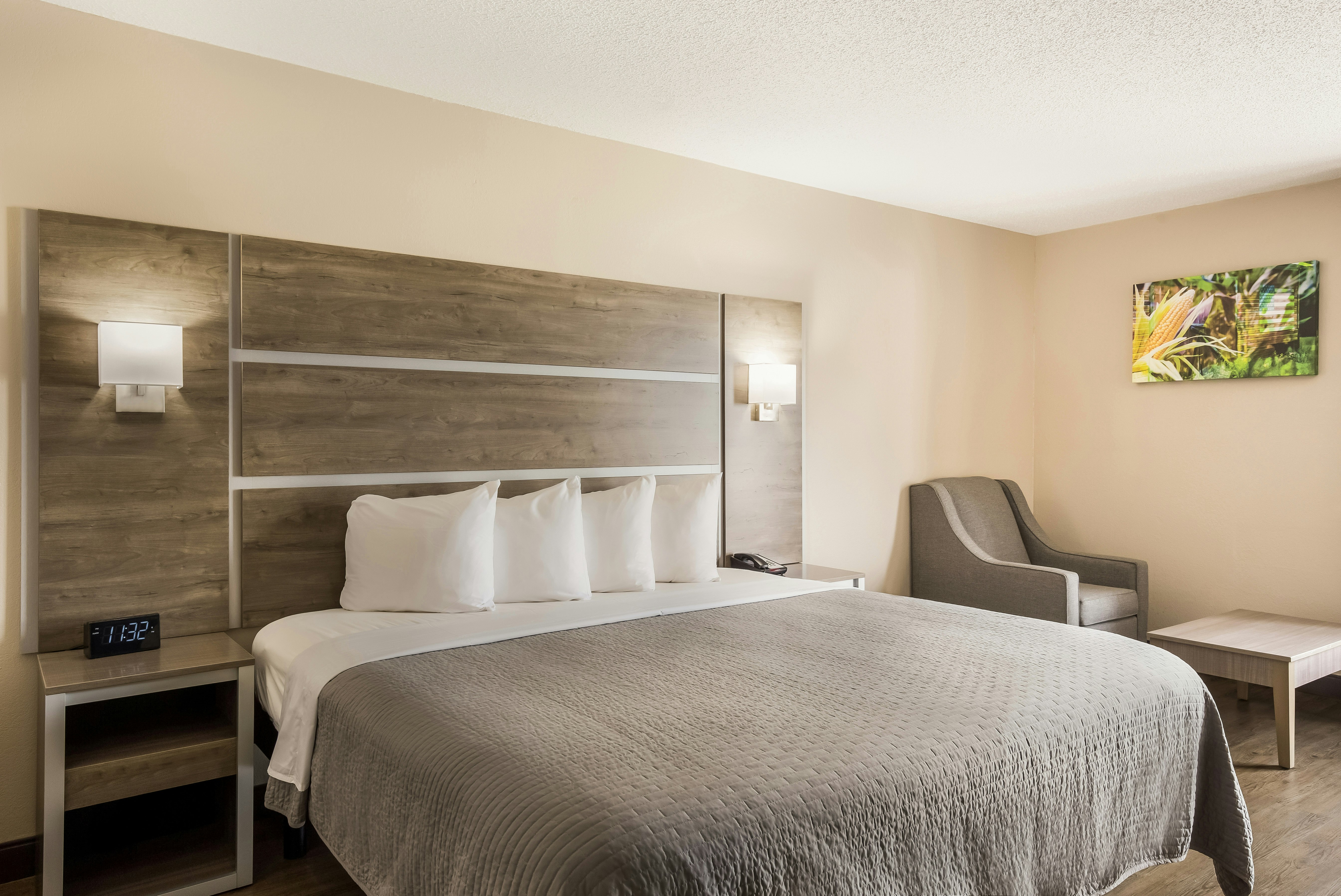 Hometown Inn Thomasville 27/52