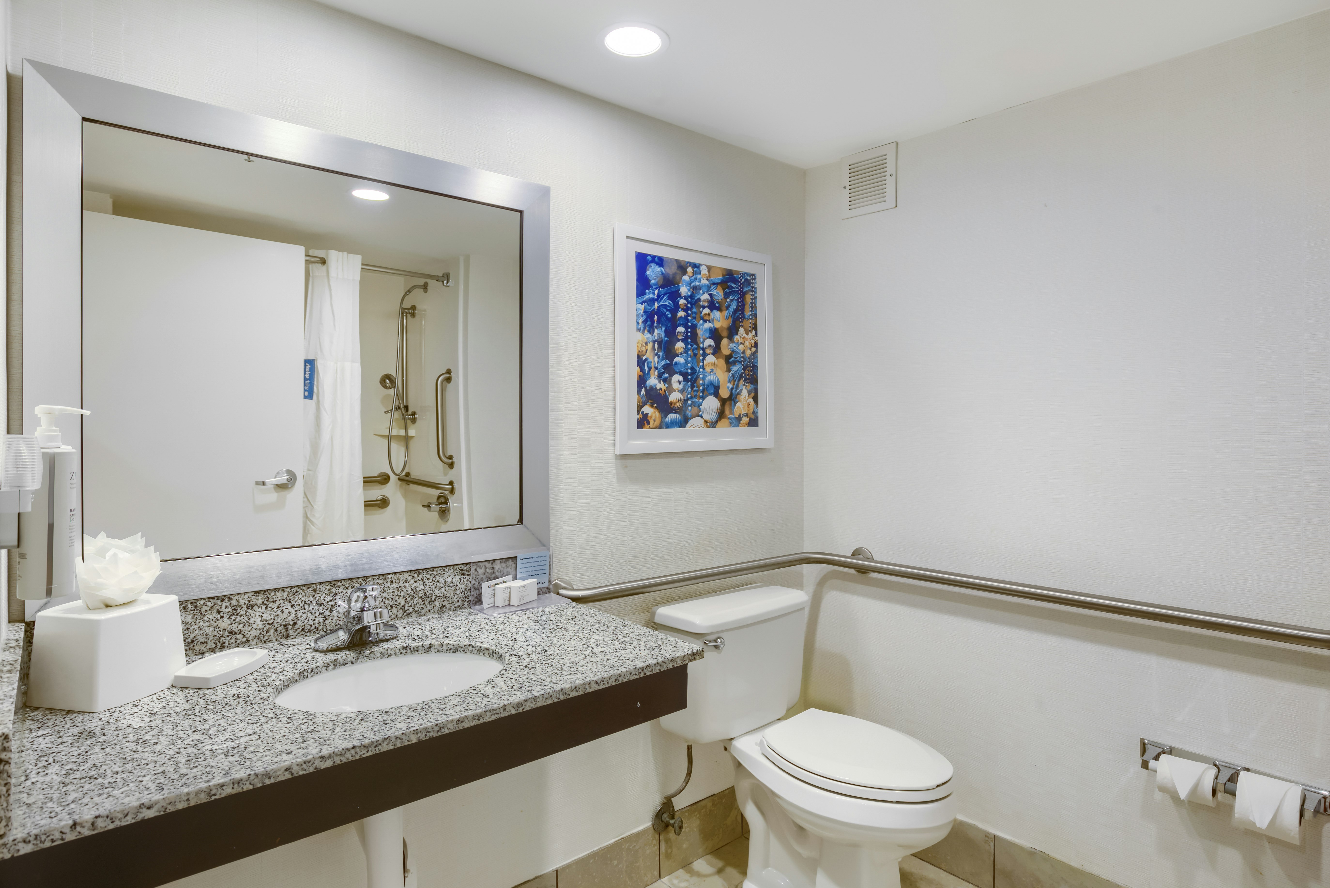 ROOM, KING BED, ACCESSIBLE