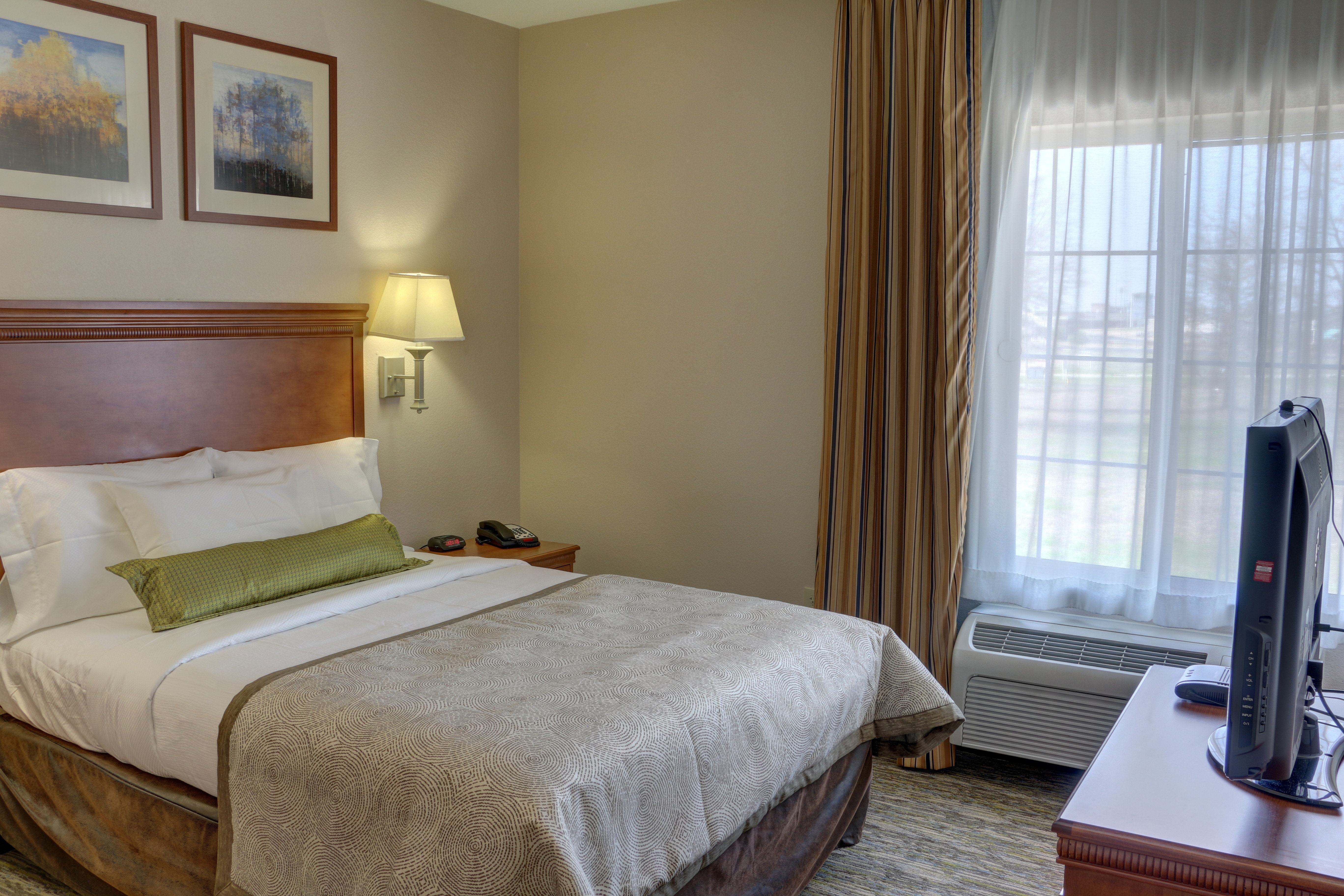1 Bedroom, Suite, Queen Bed