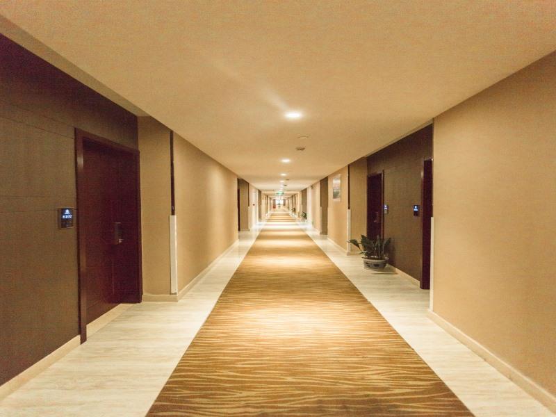 GreenTree Alliance Pudong New District Disneyland North Gate Hotel 36/42