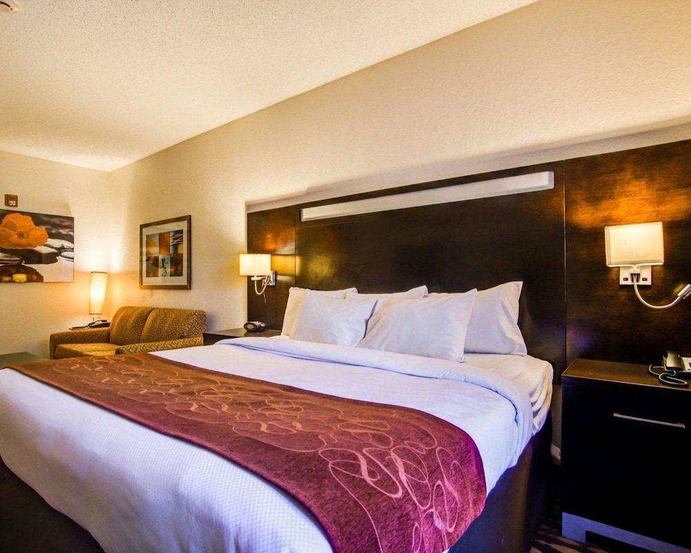 Comfort Suites Northside Hospital Gwinnett 13/47