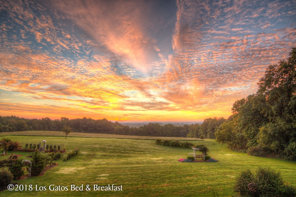 Los Gatos Bed & Breakfast 32/50