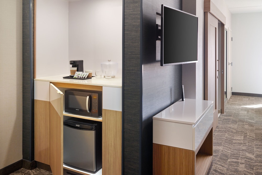 SpringHill Suites by Marriott Arlington TN 20/27