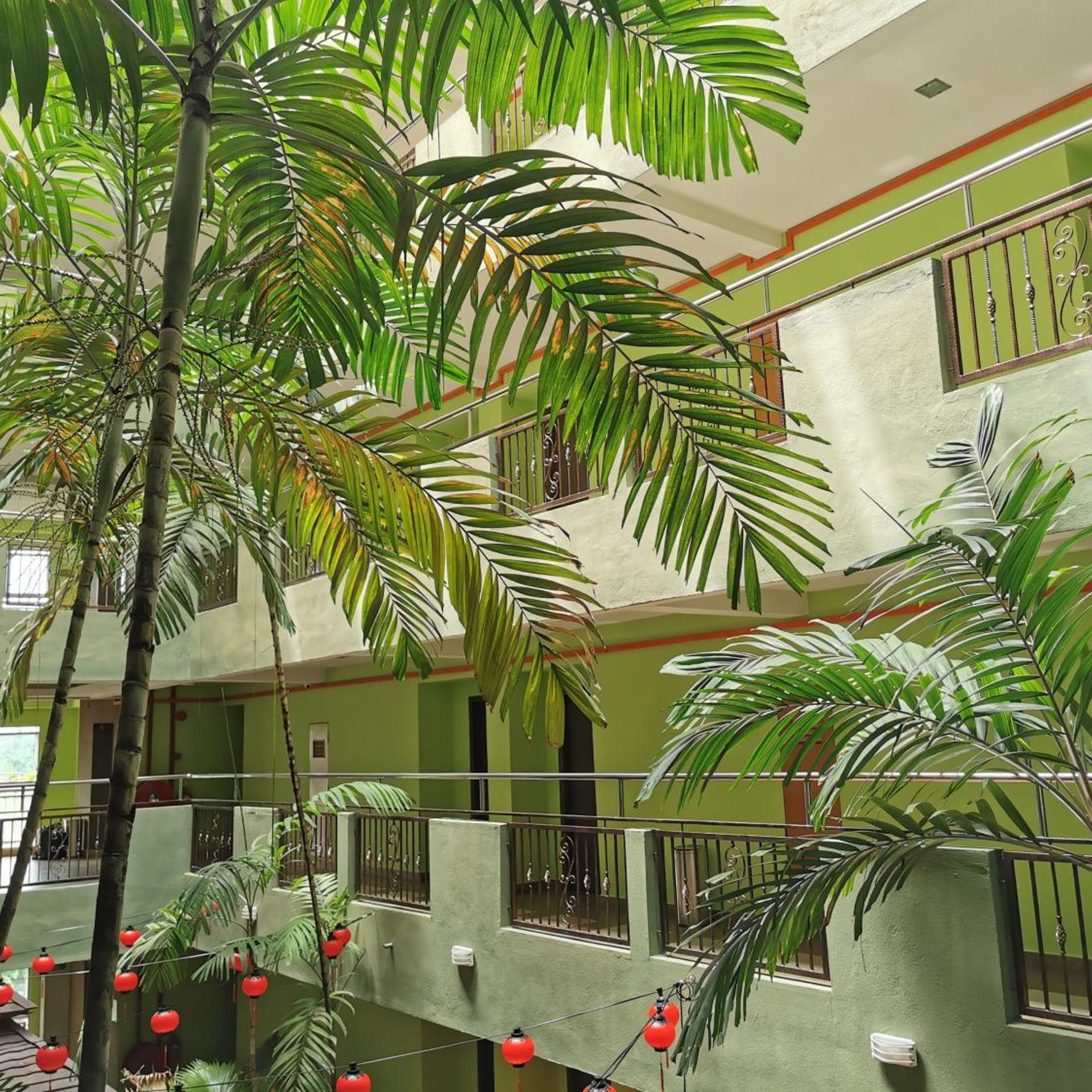 Melang Inn 48/53