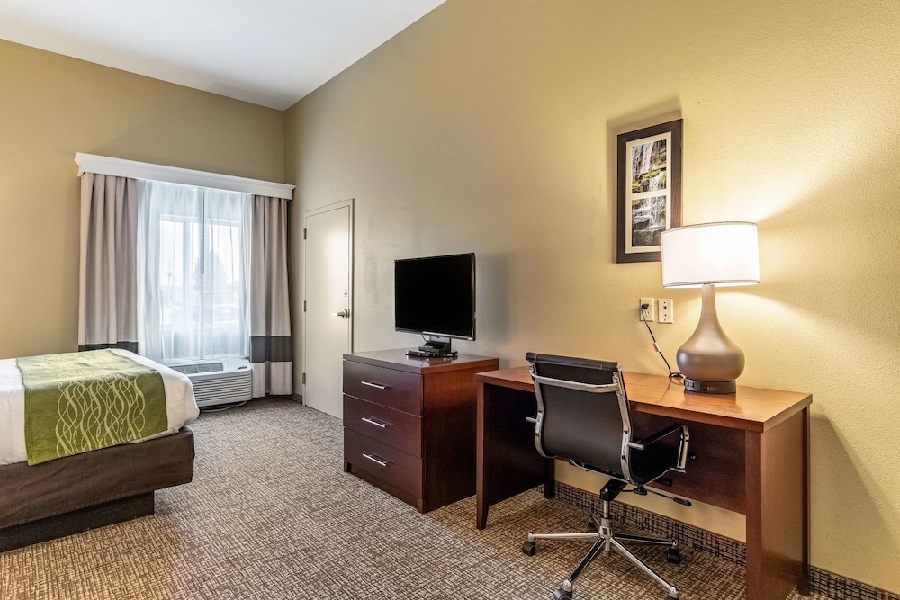 Comfort Inn Suites Tuscumbia Muscle Shoals 40/45