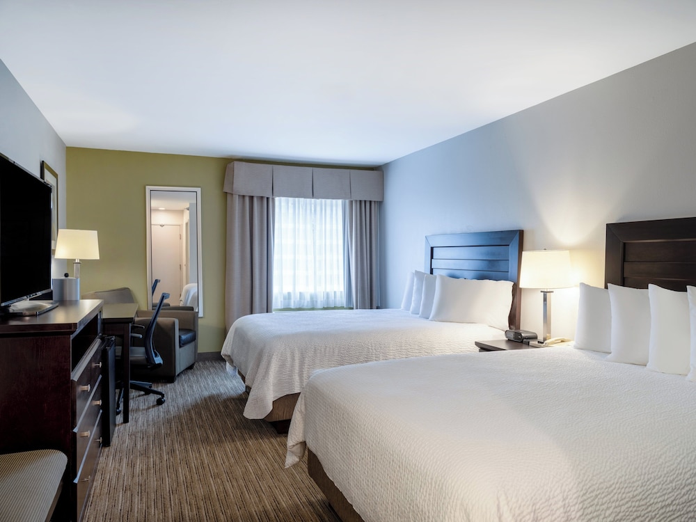 Suite, King Bed, Accessible