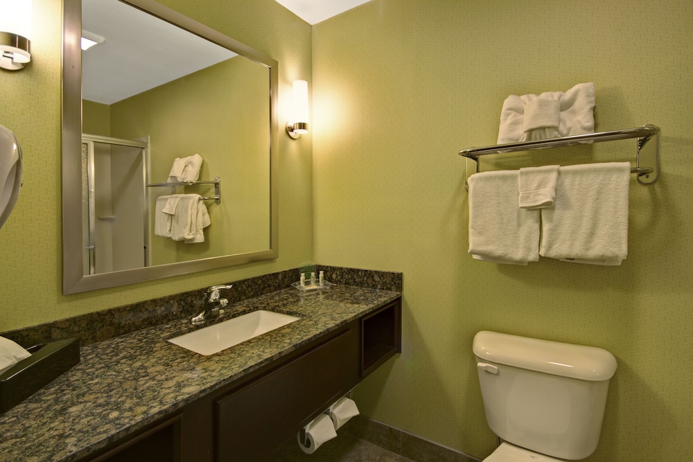 Holiday Inn Christiansburg Blacksburg 24/53