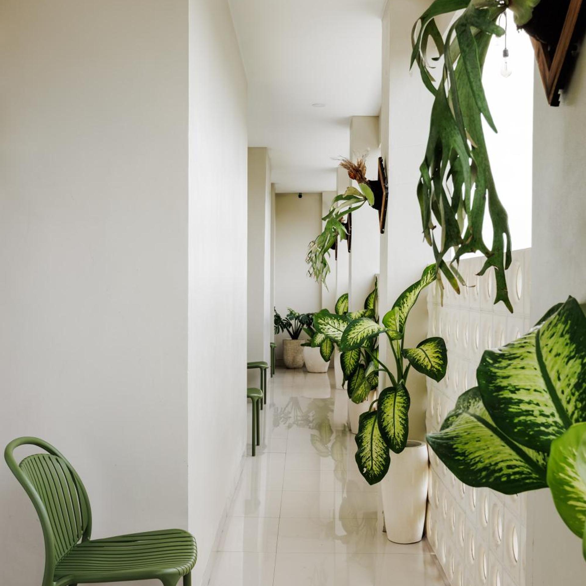 Deva Bali Apartment 38/56