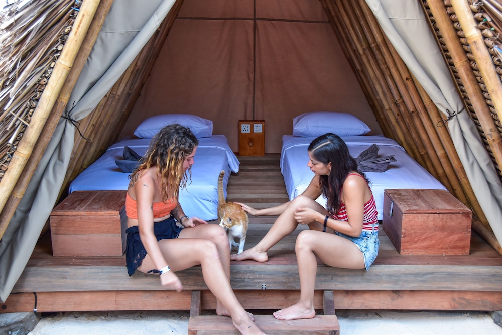 Mad Monkey Gili Trawangan 32/50