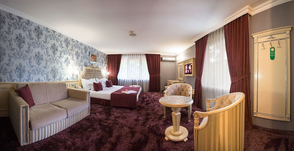 Spa Hotel Rich 19/50
