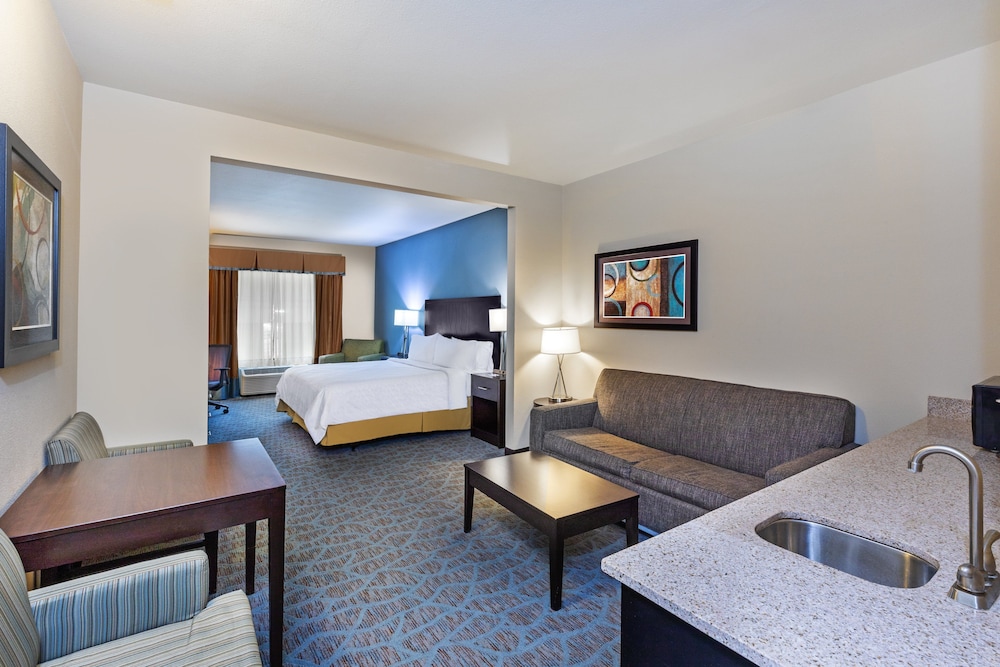 Holiday Inn Express Suites Floresville 43/58
