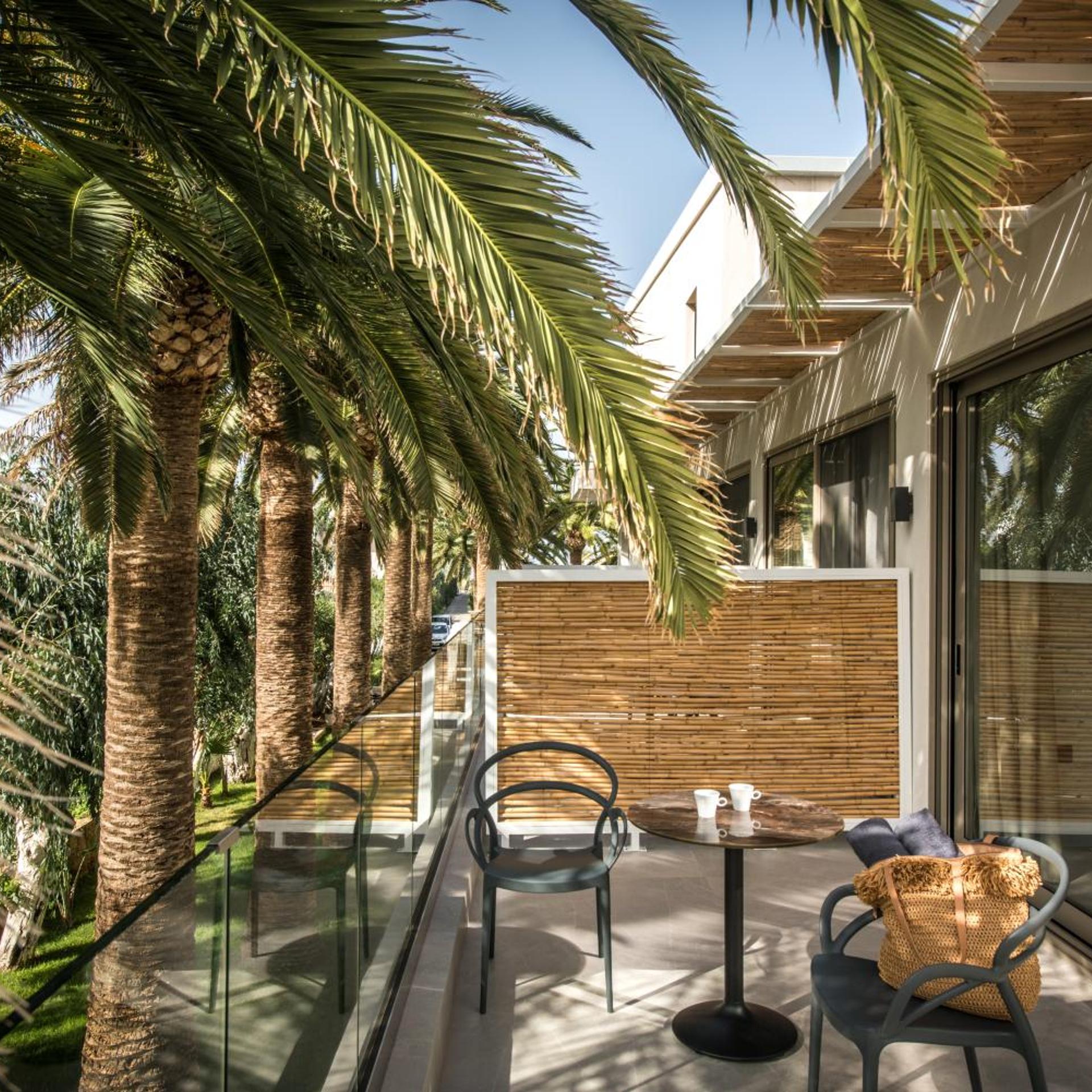 Drossia Palms Hotel - Studios 41/55