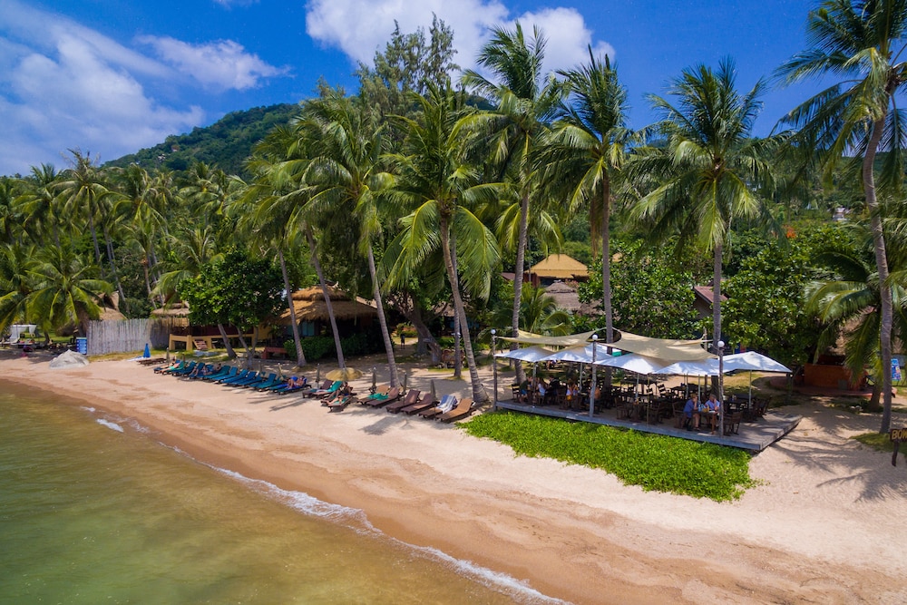 Palm Leaf Resort 8/54