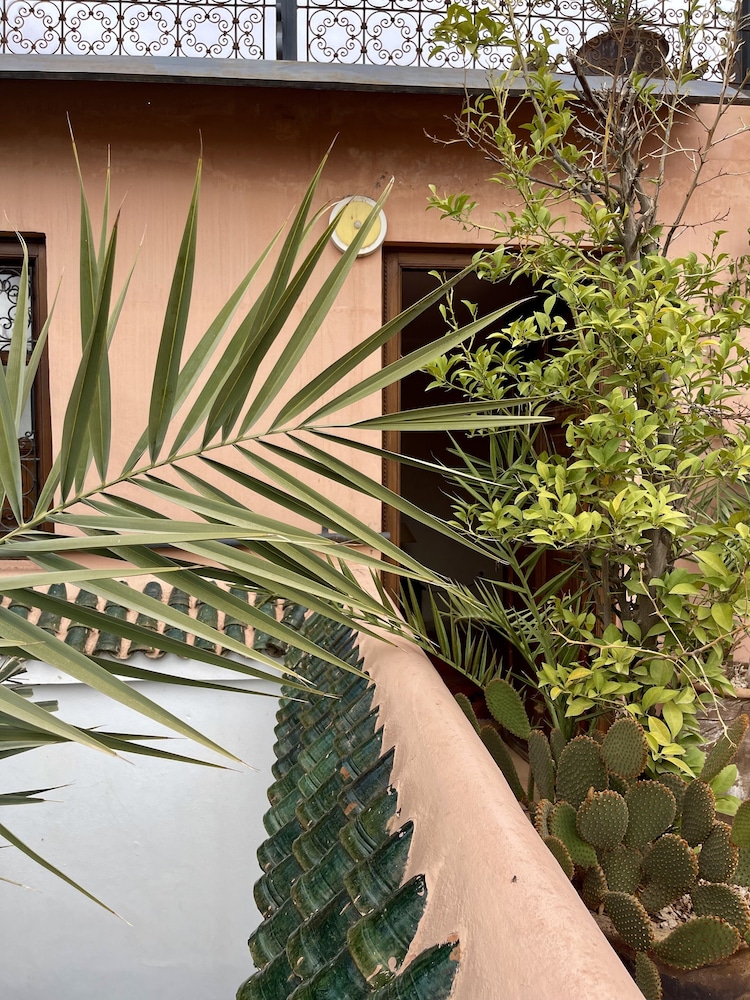 Riad Elias 7/72