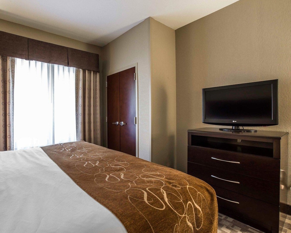 Comfort Suites Whitsett - Greensboro East Whitsett NC 16/41