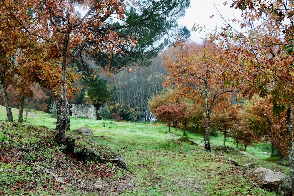 I LOVE DAO - CASAS DA FRAGA 48/62