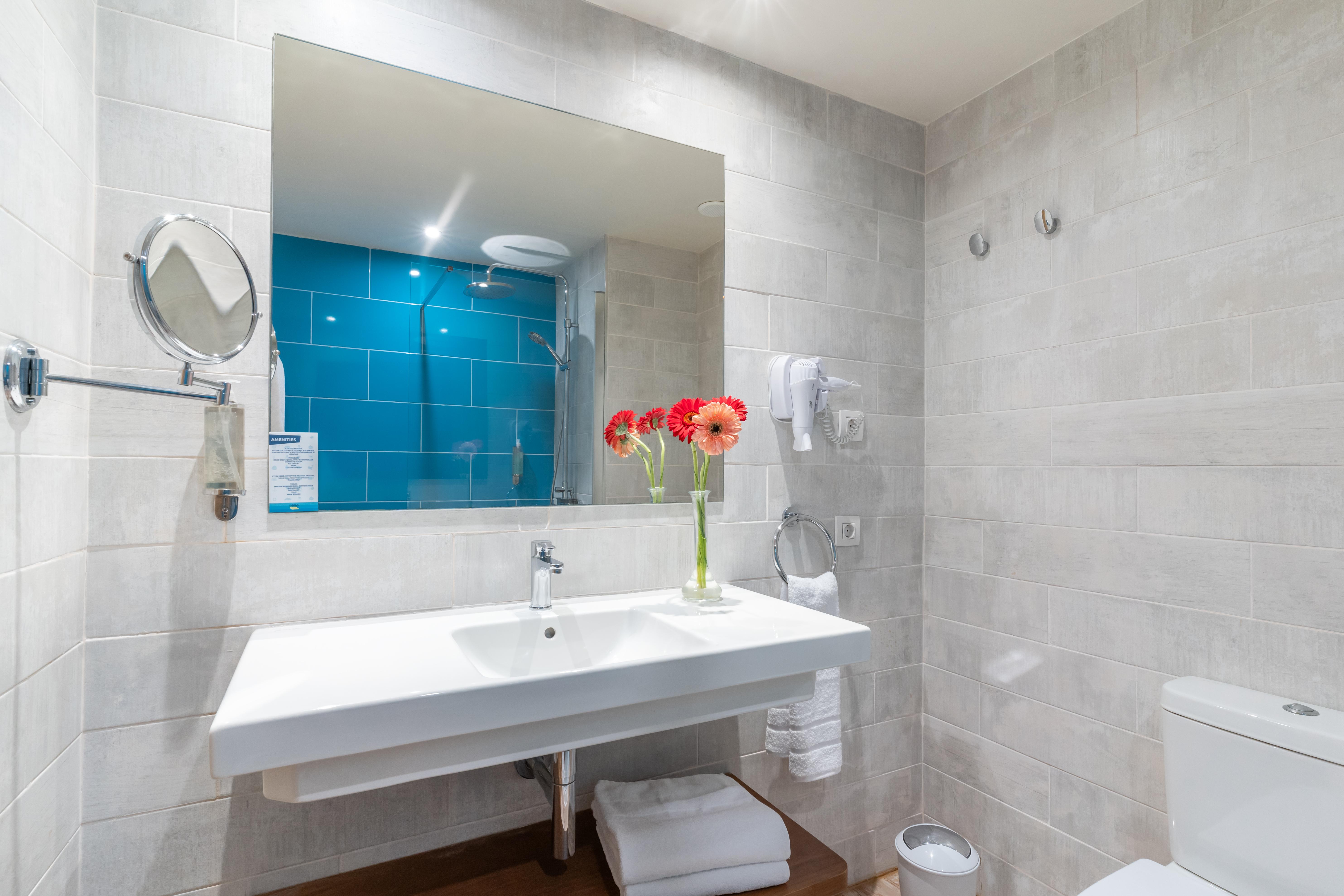 1 Bedroom, Comfort, Apartment, Balcony or Terrace