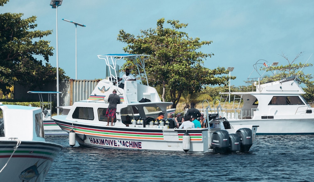 Belize Dive Haven 31/50