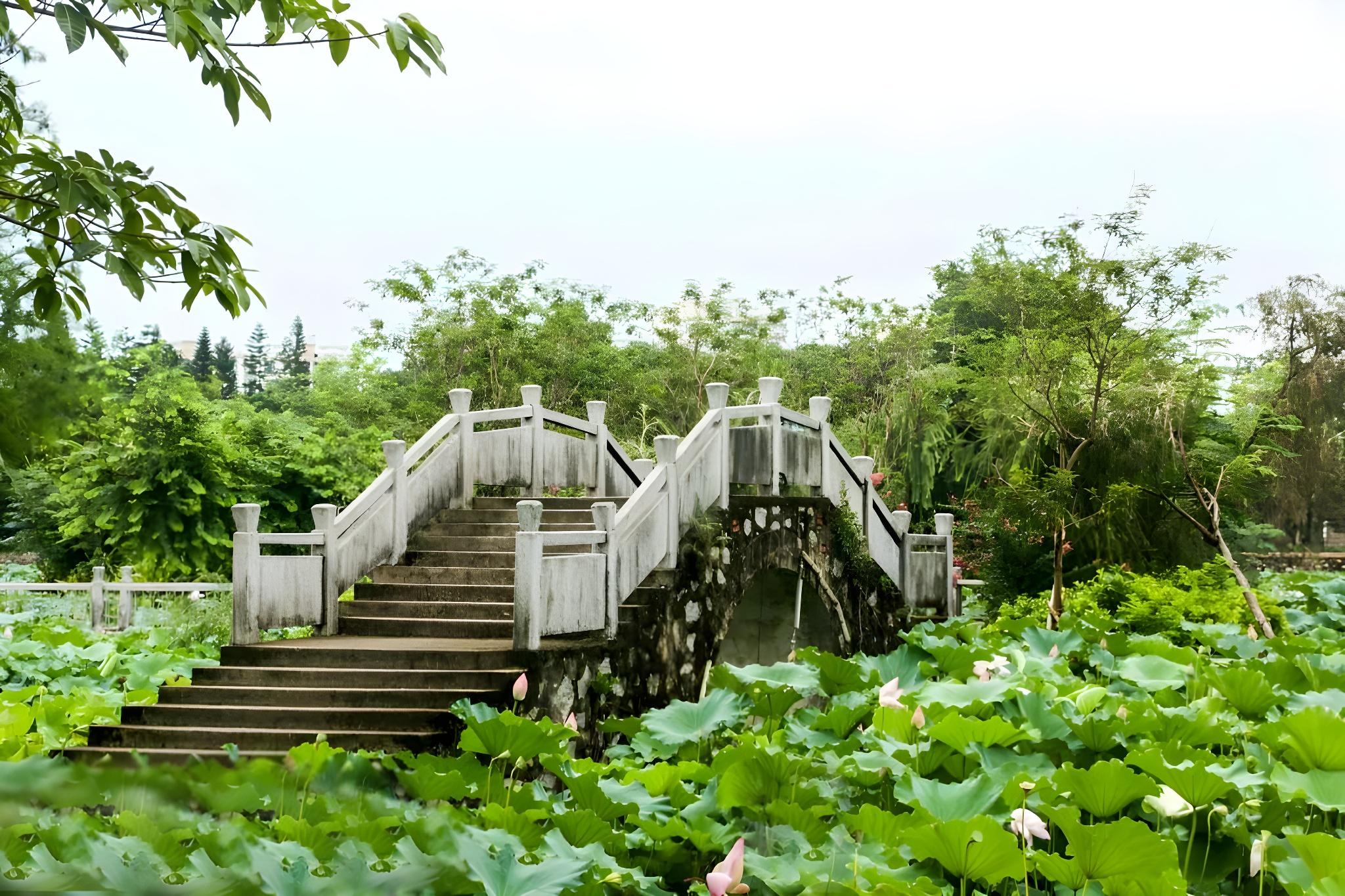 Taishan Bojue Hotel 66/69