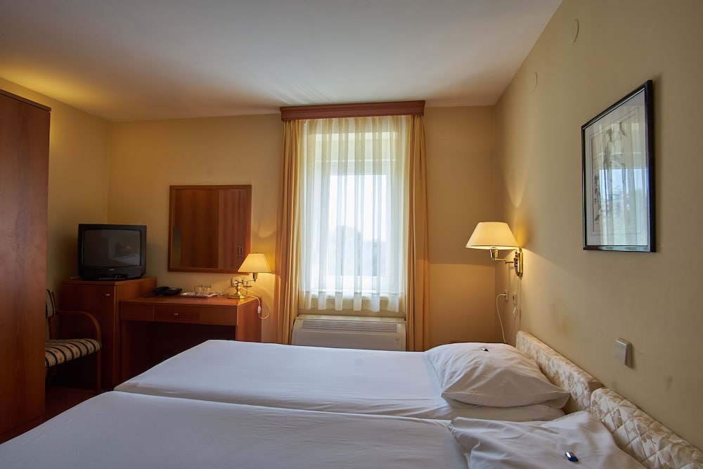 Hotel Vila Ruzica 15/64