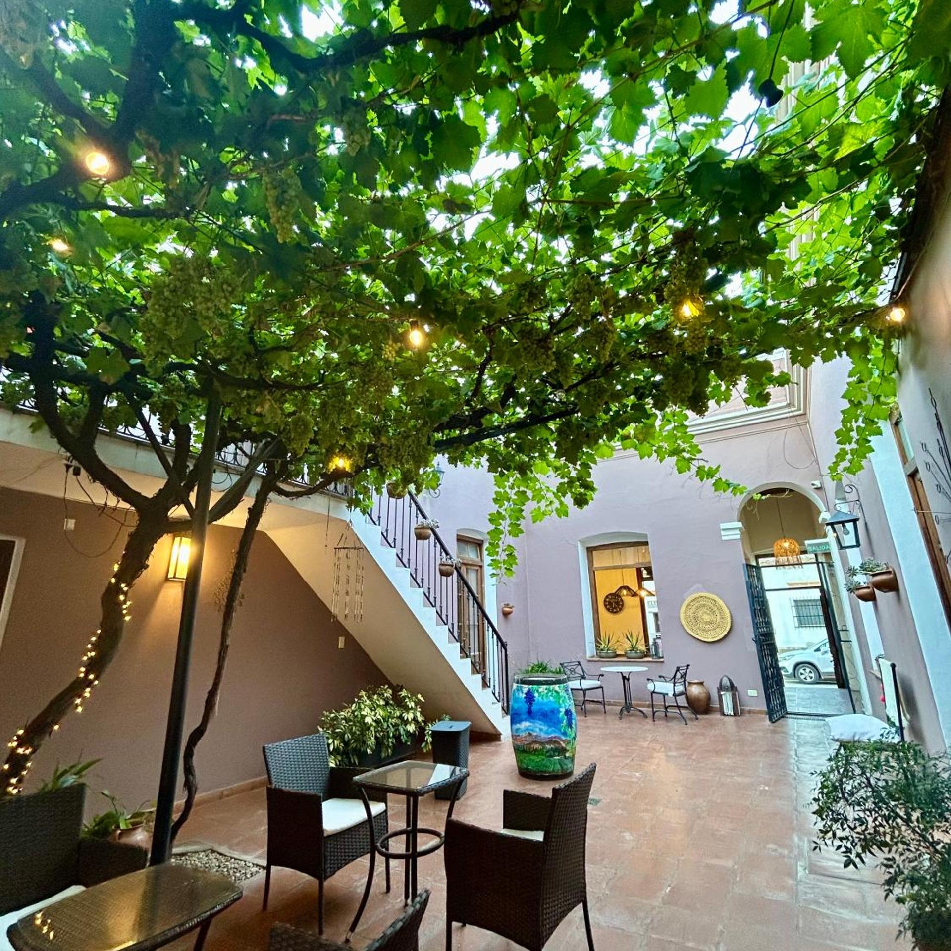 Hotel Plaza Cafayate 5/34
