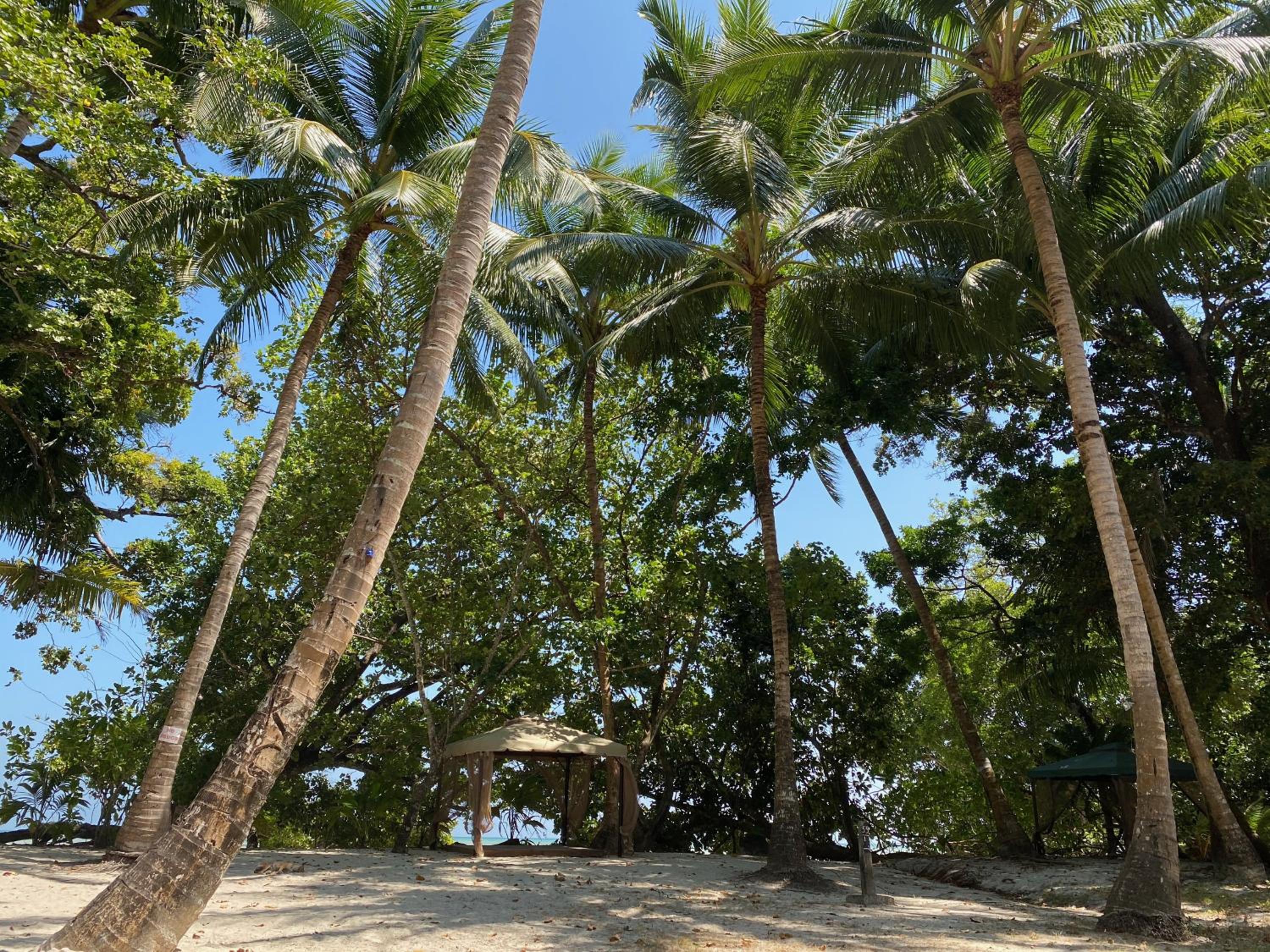 Emerald Gecko Resort-Havelock Island 23/32
