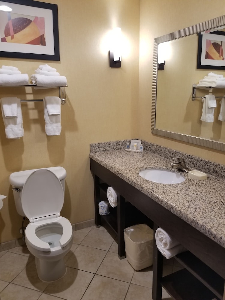 Comfort Suites West of The Ashley 19/46
