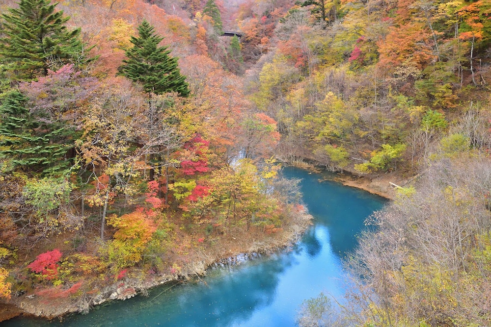 Shima Onsen Tokiwasure no Yado Yoshimoto 53/57