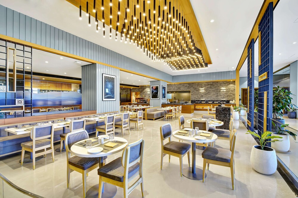 Radisson Hotel Nathdwara 35/46