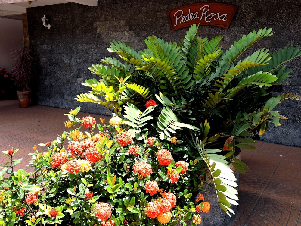 Pousada Pedra Rosa 38/50