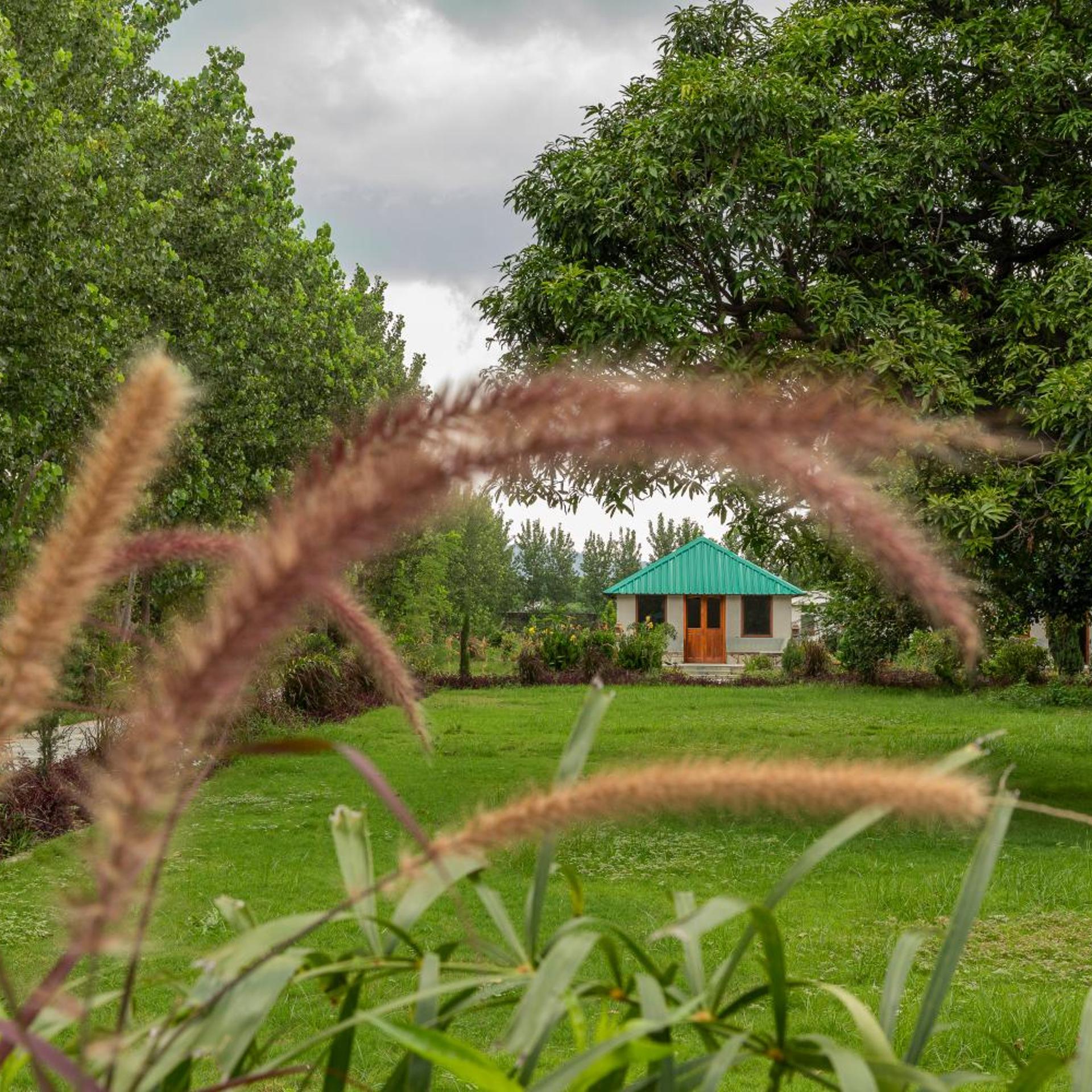 ZANA Forest Resort Ranthambore 59/72